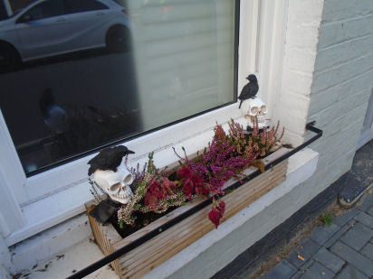 2023 Gwydir St Halloween window